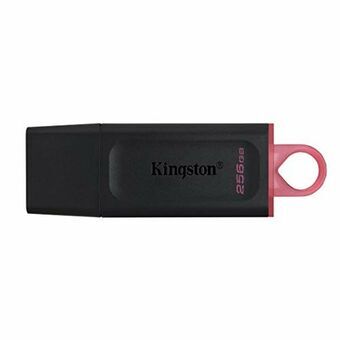 USB-stik Kingston DTX/256GB            256 GB Sort