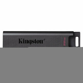 USB-stik Kingston DTMAX 512 GB