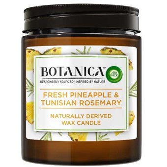 Air Wick - Botanica Duftlys - Pineapple & Tunisian Rosemary - 205 Gram