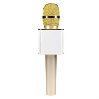 Q9 professionel Wireless Microphone med højttaler - Guld