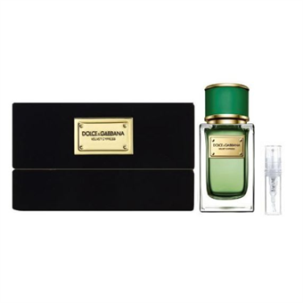 Dolce & Gabbana Velvet Cypress - Eau de Parfum - Duftprøve - 2 ml