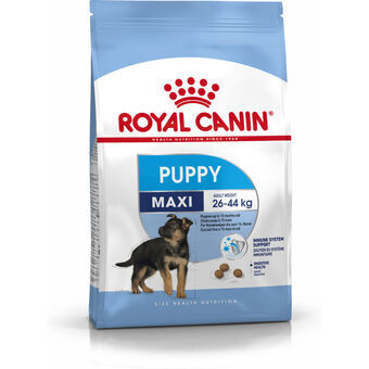 Foder Royal Canin Maxi Puppy Barn/Junior Fugle 4 Kg