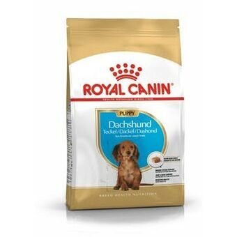 Foder Royal Canin  Breed Dachshund Jun Barn/Junior Vegetabilsk 1,5 Kg