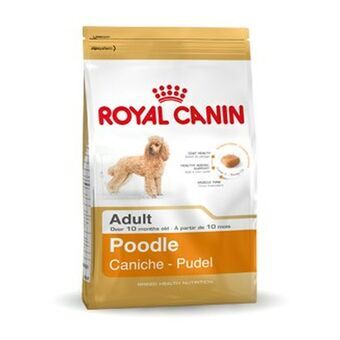 Foder Royal Canin Poodle Adult Voksen 1,5 Kg