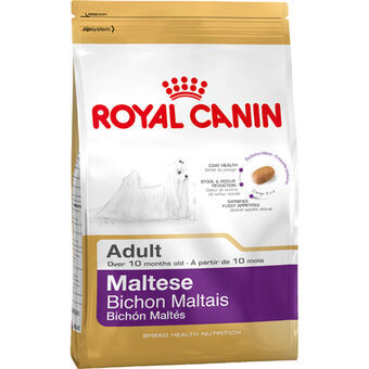 Foder Royal Canin Maltese Adult Voksen Majs Fugle 1,5 Kg