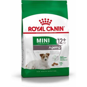 Foder Royal Canin Mini Ageing 12+ Voksen Ældre Fugle 3,5 g