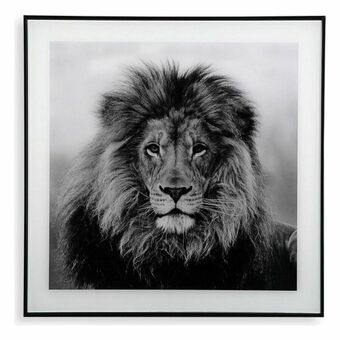 Maleri Versa Løve Krystal 2 x 50 x 50 cm