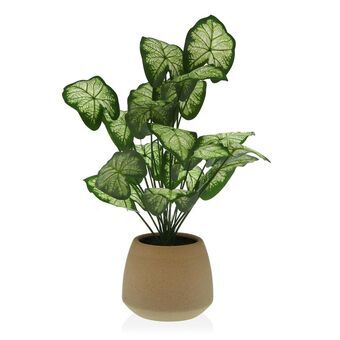 Dekorativ plante Versa 15 x 52 x 15 cm Cement Plastik