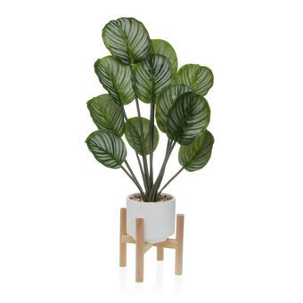 Dekorativ plante Versa Træ Metal Keramik polystyren Plastik 33 x 61 x 38 cm