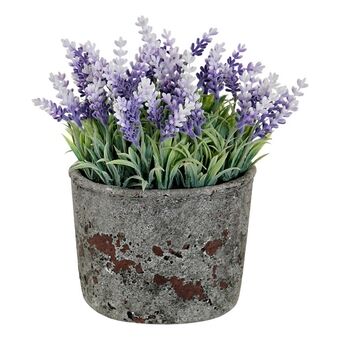 Dekorative Blomster DKD Home Decor Lavendel Cement Jern PE (15 x 15 x 21 cm)