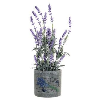 Dekorativ plante DKD Home Decor Lavendel PVC Cement (13 x 13 x 44 cm)