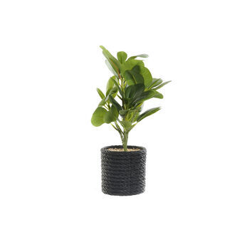 Dekorativ plante DKD Home Decor Sort Grøn PVC EVA (16 x 18 x 32 cm)