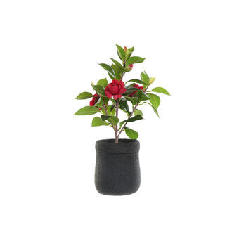 Dekorativ plante DKD Home Decor Sort Rød Grøn PVC EVA (23 x 18 x 37 cm)