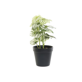 Dekorativ plante DKD Home Decor Sort Grøn PVC Plastik (13 x 13 x 27 cm)