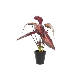 Dekorativ plante DKD Home Decor Rød Bourgogne PE (20 x 20 x 38 cm)