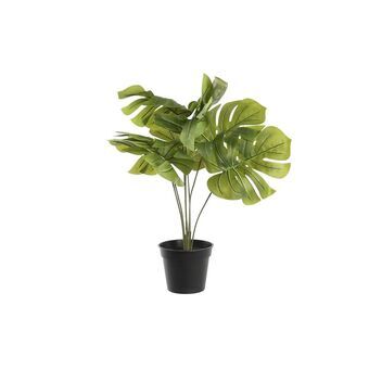 Dekorativ plante DKD Home Decor Monstera Grøn PP PE (40 x 30 x 50 cm)