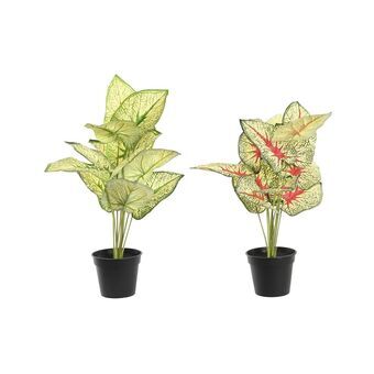 Dekorativ plante DKD Home Decor Rød Hvid Grøn PP PE (30 x 43 x 54 cm) (2 enheder)