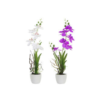 Dekorative Blomster DKD Home Decor Fuchsia Hvid Orientalsk Orkide (14 x 14 x 45 cm) (2 enheder)