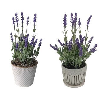 Dekorativ plante DKD Home Decor Lavendel Keramik PE (2 enheder) (11 x 11 x 28 cm)