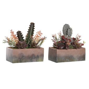 Dekorativ plante DKD Home Decor 19 x 9 x 22 cm Pink Orange Kaktus Eva Gummi polypropylen (2 enheder)