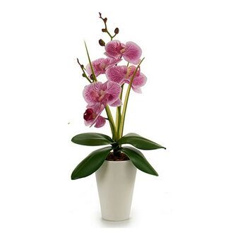 Dekorativ plante Orkide Plastik 8 x 35 x 14 cm