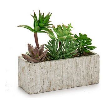 Dekorativ plante Grå Grøn Keramik Plastik (9 x 20 x 21,5 cm)