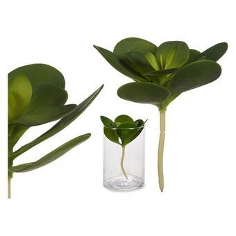 Dekorativ plante Grøn Plastik (16 x 25 x 16	 cm) (18 x 23 x 18	 cm)