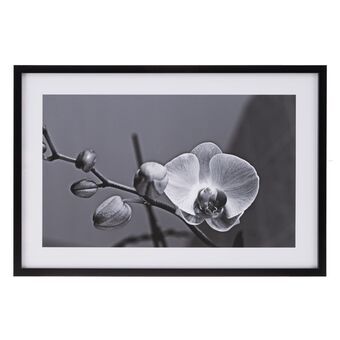 Lærred Orkide 65 x 2 x 95 cm Blomst