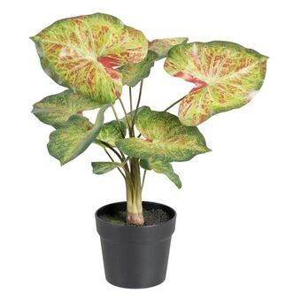 Dekorativ plante 48 x 46 x 55 cm Rød Grøn PVC