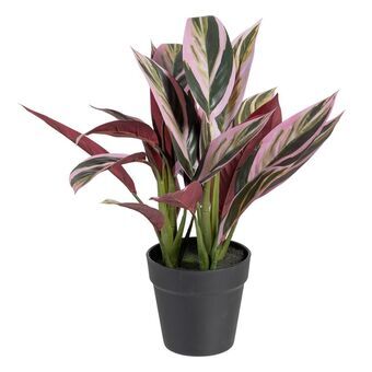 Dekorativ plante 44 x 39 x 48 cm Pink Grøn PVC