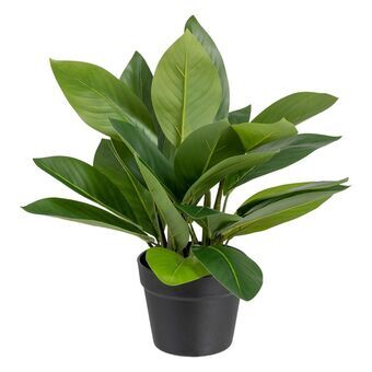 Dekorativ plante 50 x 45 x 48 cm Grøn PVC