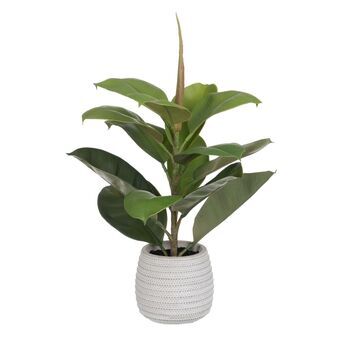 Dekorativ plante Grøn PVC Hrast 58 cm