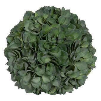 Dekorativ plante Grøn PVC 19 x 19 cm