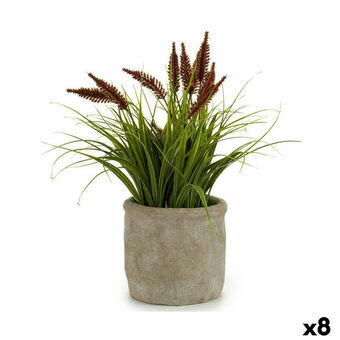 Dekorativ plante Øre (af hvede) Plastik 12 x 30 x 12 cm (8 enheder)