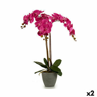 Dekorativ plante Orkide Plastik 60 x 78 x 44 cm (2 enheder)