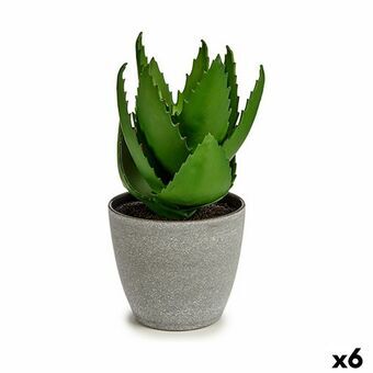 Dekorativ plante Aloe Vera 15 x 23,5 x 15 cm Grå Grøn Plastik (6 enheder)