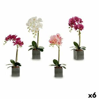 Dekorativ blomst Orkide Plastik 14 x 51 x 18 cm (6 enheder)