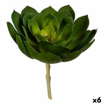 Dekorativ plante 22 x 19 x 19 cm Grøn Plastik (6 enheder)