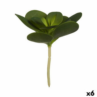 Dekorativ plante Ark Cirkulær Plastik 18 x 23 x 18 cm (6 enheder)
