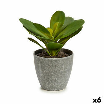 Dekorativ plante Ark Cirkulær Plastik 11 x 15 x 11 cm (6 enheder)