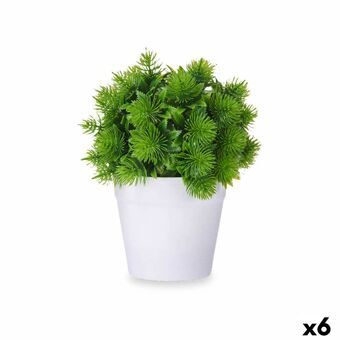 Dekorativ plante Plastik 17 x 19,5 x 17 cm (6 enheder)