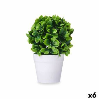 Dekorativ plante Plastik (6 enheder)