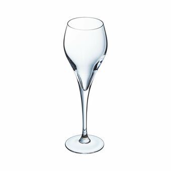 Flade champagne og cava glas Arcoroc Brio Glas 6 enheder (160 ml)