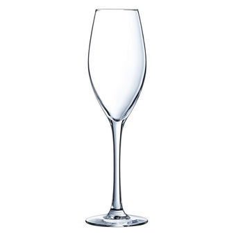 Champagneglas Éclat Emotions Gennemsigtig Glas (24 cl)