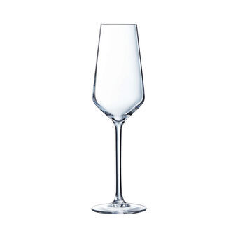 Flade champagne og cava glas Chef & Sommelier Distinction 6 enheder Glas (230 ml)