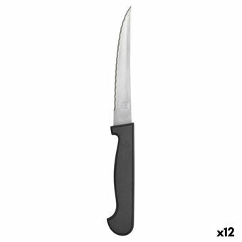 Kødkniv Amefa Metal To-farvet 21 cm 12 enheder
