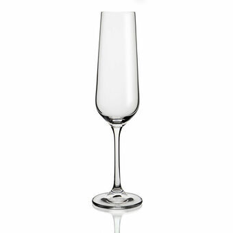 Champagneglas Belia Bohemia Gennemsigtig Glas 6 enheder (20 cl)