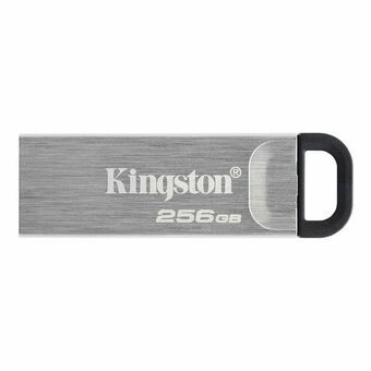 USB-stik Kingston DTKN/256GB USB 3.2 Sort Sølv 256 GB
