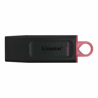 USB-stik Kingston DTX/256GB Nøglesnor Sort 256 GB