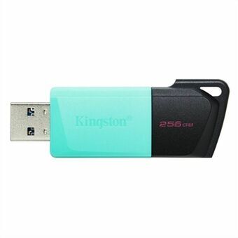 USB-stik Kingston DTXM/256GB 256 GB Blå 256 GB